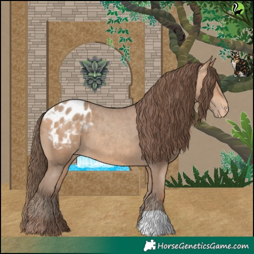 Horse Color:Amber Champagne Appaloosa 