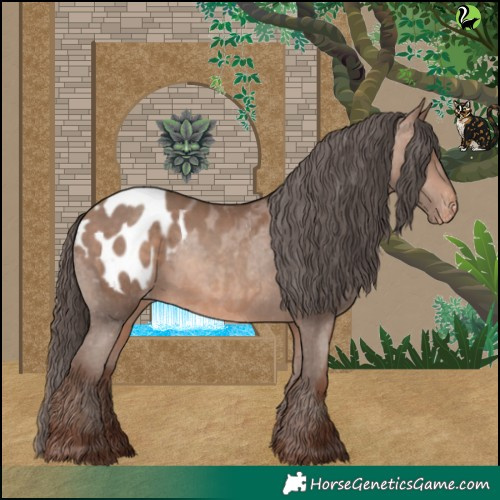 Horse Color:Sable Champagne Appaloosa 