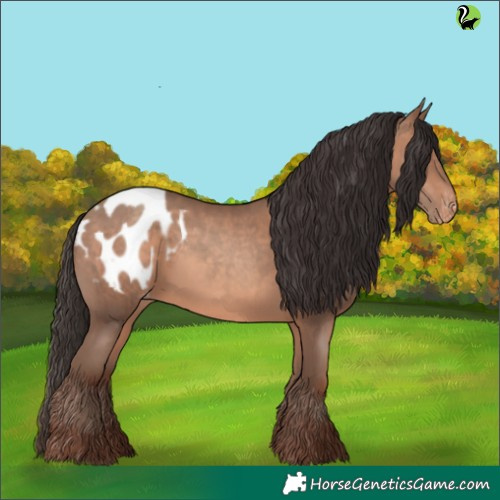Horse Color:Sable Champagne Appaloosa 