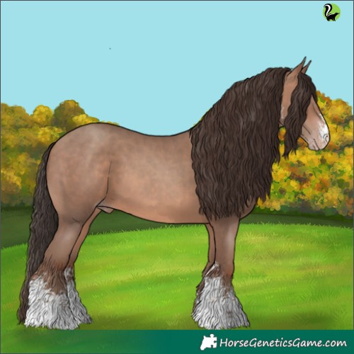 Horse Color:Sable Champagne Sabino 