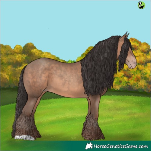 Horse Color:Sable Champagne 