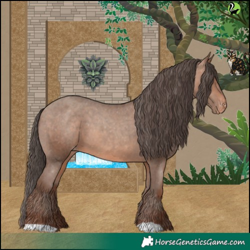 Horse Color:Sable Champagne Appaloosa 