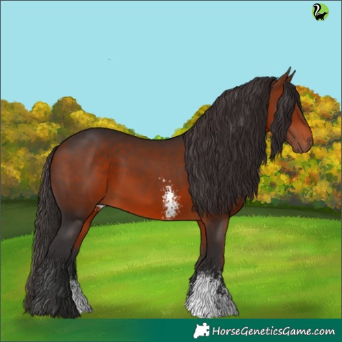 Horse Color:Bay Sabino 