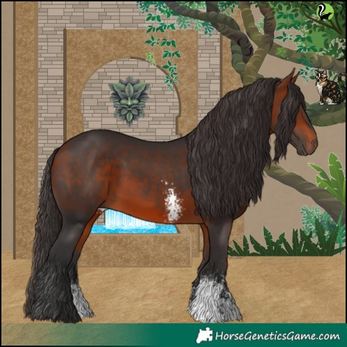 Horse Color:Bay Sabino 