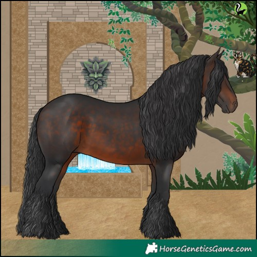 Horse Color:Brown 