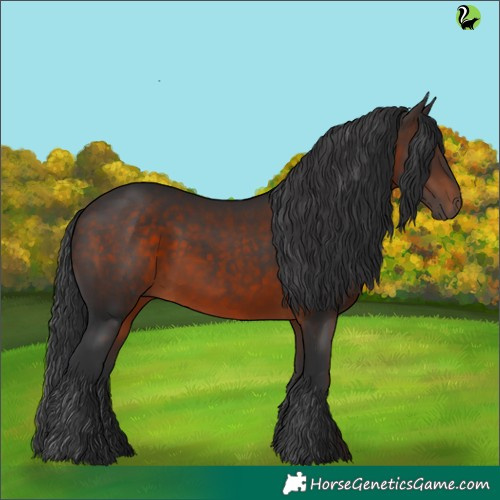 Horse Color:Brown 