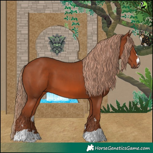 Horse Color:Chestnut 