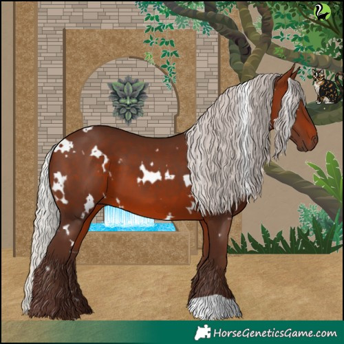 Horse Color:White Spotted Silver Bay 