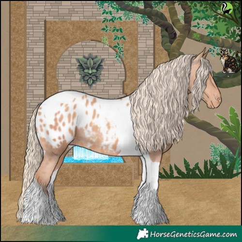 Horse Color:Gold Champagne Tobiano Appaloosa 