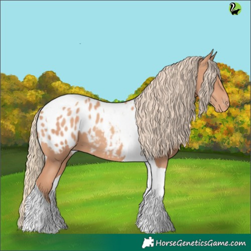 Horse Color:Gold Champagne Tobiano Appaloosa 