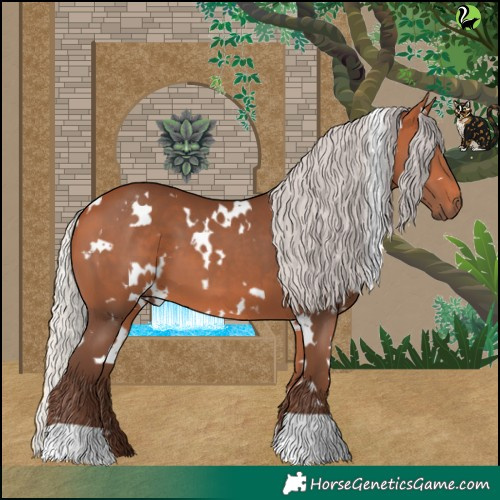 Horse Color:White Spotted Silver Bay 