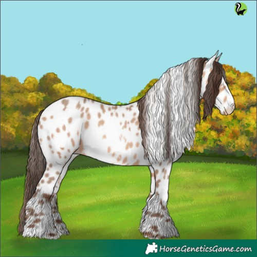 Horse Color:White Spotted Amber Champagne Appaloosa 