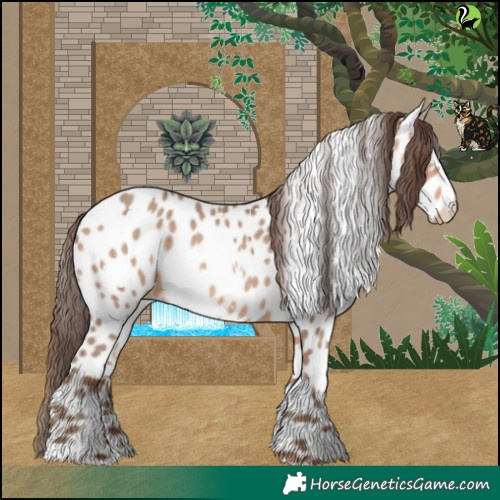Horse Color:White Spotted Amber Champagne Appaloosa 