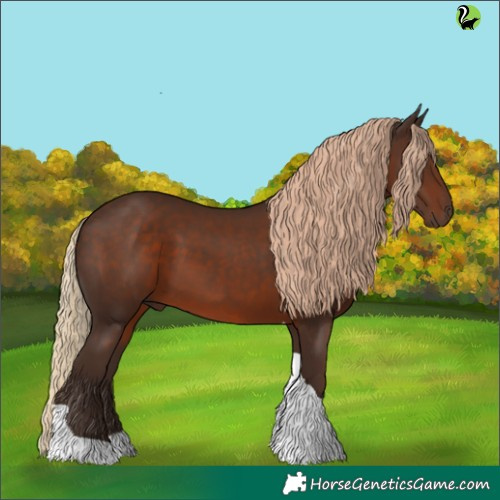 Horse Color:Liver Chestnut Tobiano 