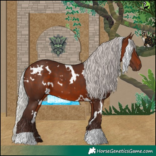 Horse Color:White Spotted Silver Bay 