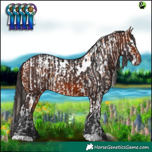 Horse Color:Gold Champagne Tobiano Near Leopard and White Spotted Bay