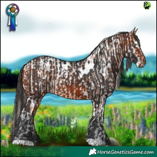 Horse Color:Gold Champagne Tobiano Appaloosa  and White Spotted Bay 