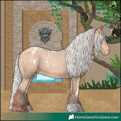 Horse Color:White Spotted Silver Amber Champagne Appaloosa 