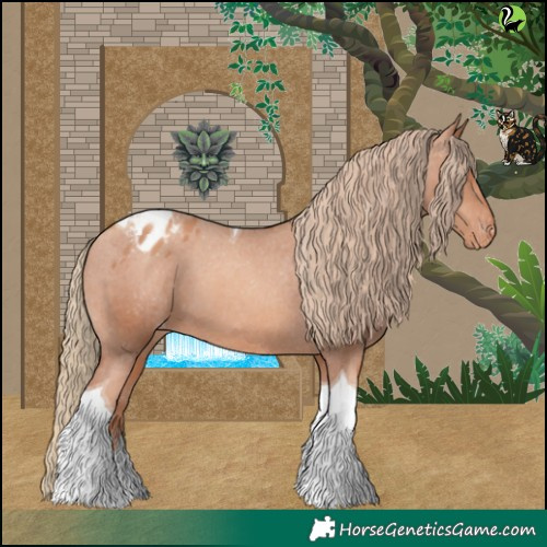 Horse Color:Gold Champagne Tobiano Appaloosa 