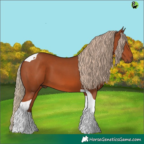 Horse Color:Chestnut Tobiano 