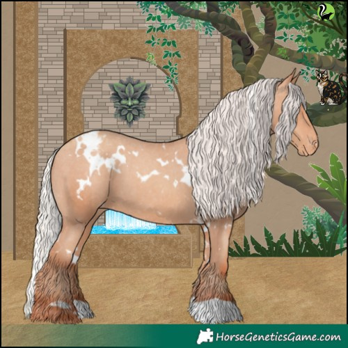 Horse Color:White Spotted Silver Amber Champagne Appaloosa 