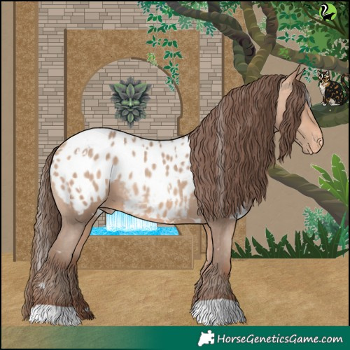 Horse Color:White Spotted Amber Champagne Appaloosa 