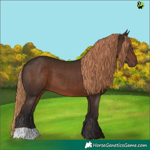Horse Color:Liver Chestnut 