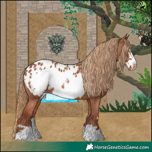 Horse Color:Chestnut Frame Blanket 