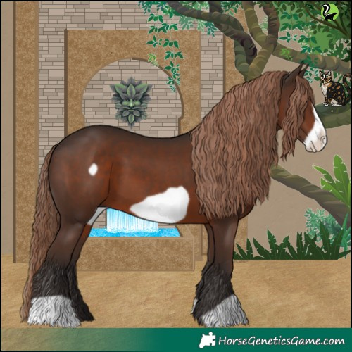 Horse Color:Liver Chestnut Frame 