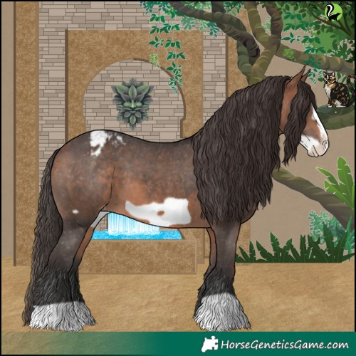 Horse Color:Bay Frame Varnish 