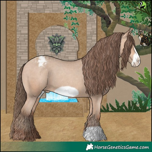 Horse Color:Amber Champagne Frame Appaloosa 