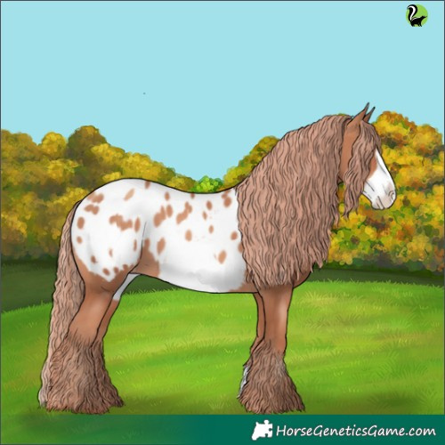 Horse Color:Gold Champagne Frame Appaloosa