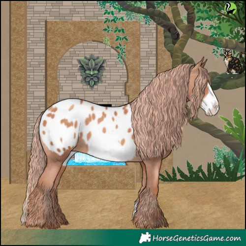 Horse Color:Gold Champagne Frame Appaloosa 
