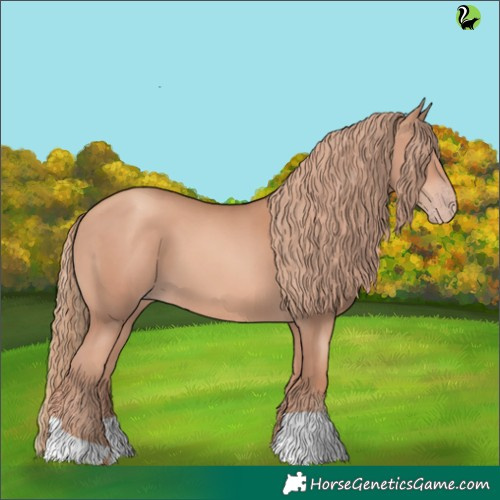 Horse Color:Gold Champagne 