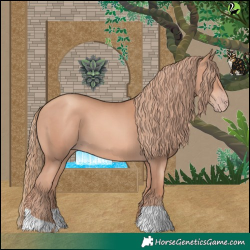 Horse Color:Gold Champagne 