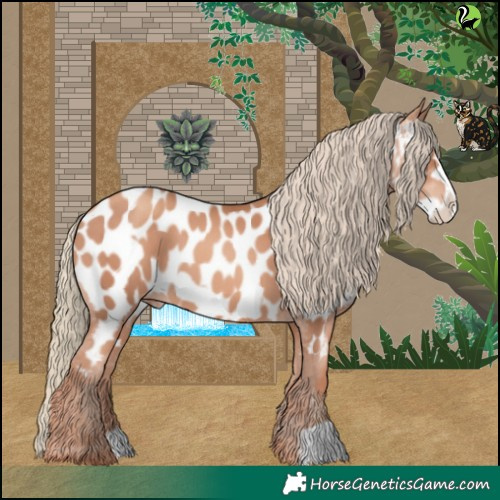 Horse Color:Gold Champagne Frame Appaloosa 