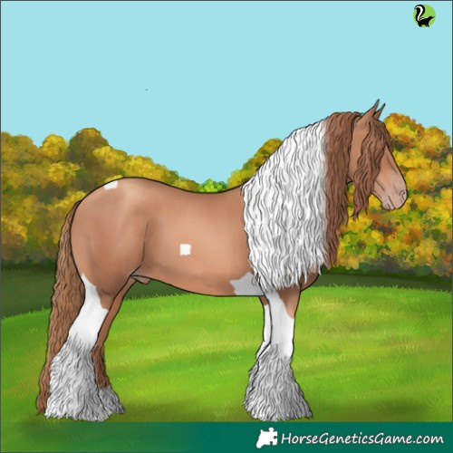 Horse Color:Gold Champagne Tobiano 