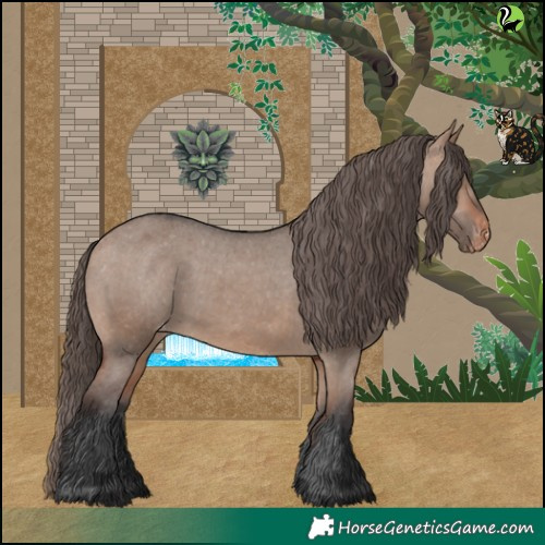 Horse Color:Bay Dun Appaloosa 