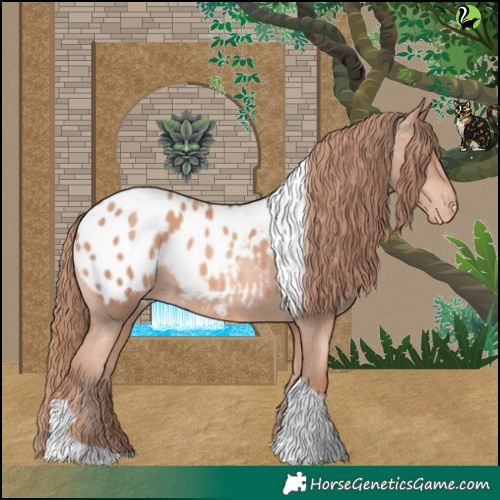 Horse Color:Gold Champagne Tobiano Appaloosa 