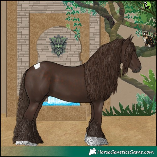 Horse Color:Liver Chestnut Tobiano 