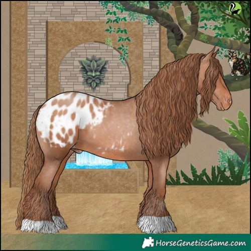 Horse Color:Bay Pearl Blanket 