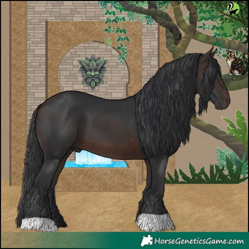 Horse Color:Brown 