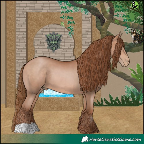 Horse Color:Bay Pearl 