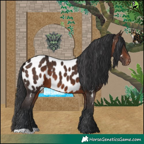 Horse Color:Brown Near Leopard 