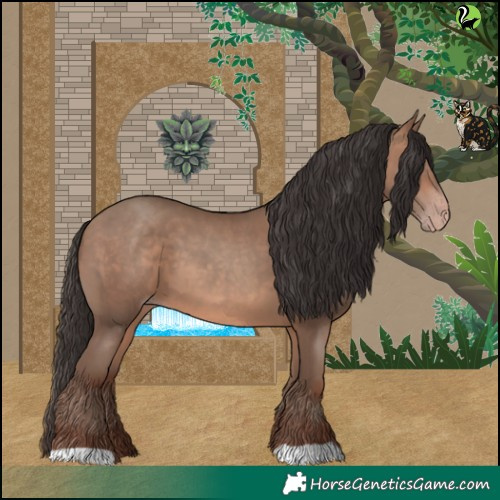 Horse Color:Sable Champagne 