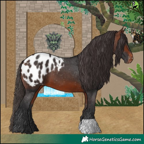 Horse Color:Bay Blanket 