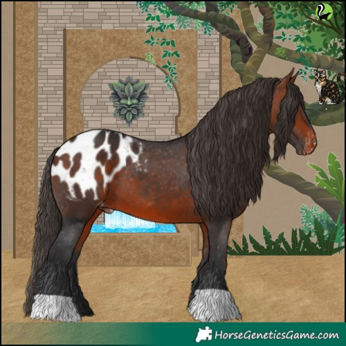 Horse Color:Bay Blanket 