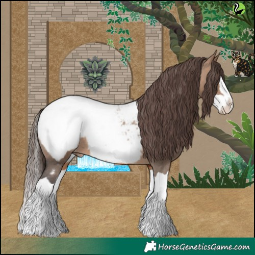 Horse Color:Bay Dun Splash Appaloosa 