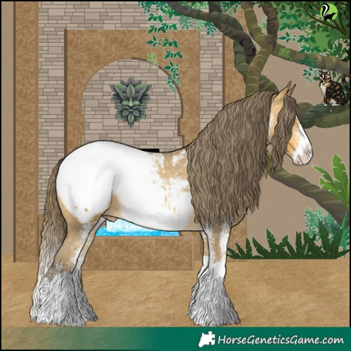 Horse Color:White Spotted Sable Cream Champagne Splash Snowcap 