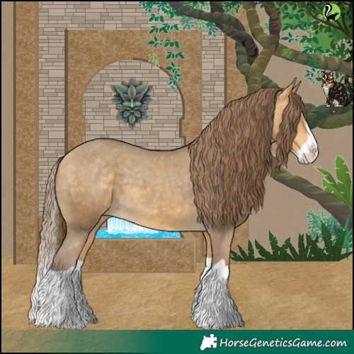 Horse Color:Amber Cream Champagne Splash Appaloosa 